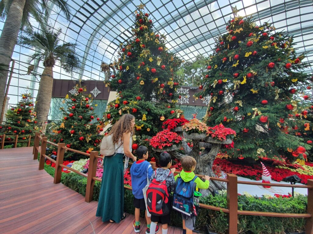 WhatsApp Image 2019 11 29 at 12.41.40 3